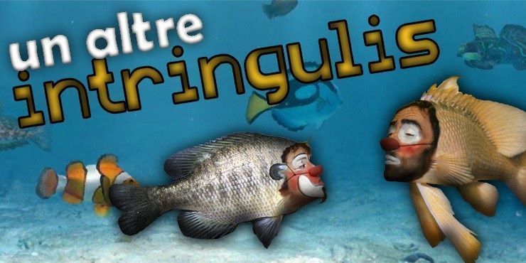 intringulis