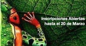 herramientas para camaleones