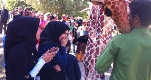 Xirriquiteula a Iran - gira 2014 - 02