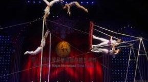 Elefants d'Or per a National Circus of Pyongyang i Troup